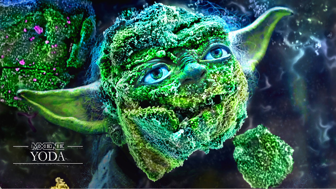 “Mxene Yoda” was created from a SEM scan of oxidized 2-D V2CTx particles that show promise as electrode material for supercapacitors and batteries.