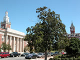 Ross Hall 