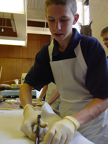Brian cutting
