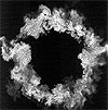 Turbulent Flow
