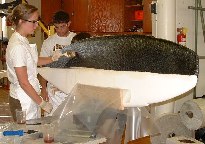ENGR1110 lab surfboard2