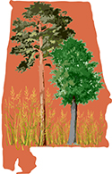 bio-fuel logo