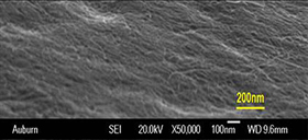 Lysozyme-nanotube coating