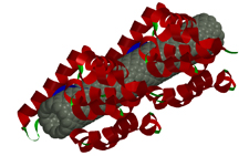 nanotube
