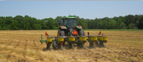 precision planting