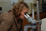 microscope