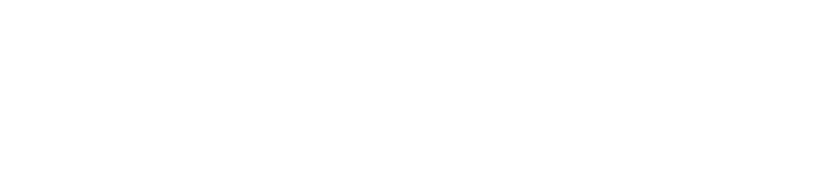 Auburn University Collge of Engineering Large Logo