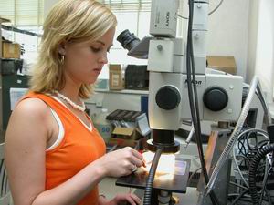 Undergraduate Admissions