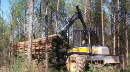 Forest Management 4