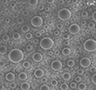 Polymer particles2