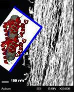 Inorganic Nanorod Inorganic Nanorod
