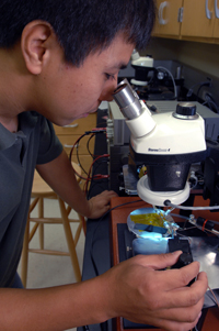 Our Research
