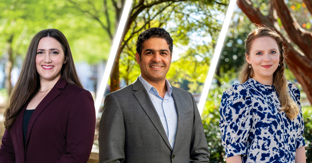 ginn faculty fellows