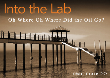 where-did-the-oil-go.jpg