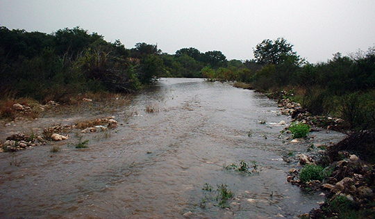 image1.jpg