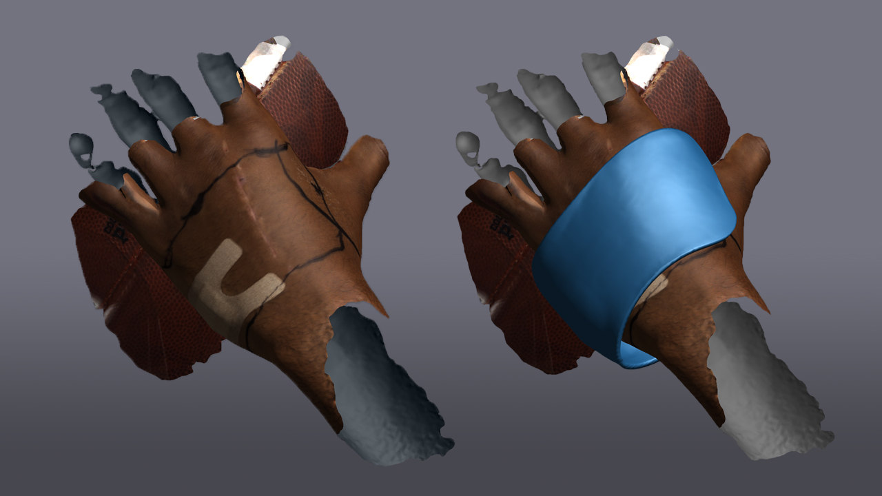 3-D scans of Auburn wide receiver Anthony Schwartz's hands holding a football.