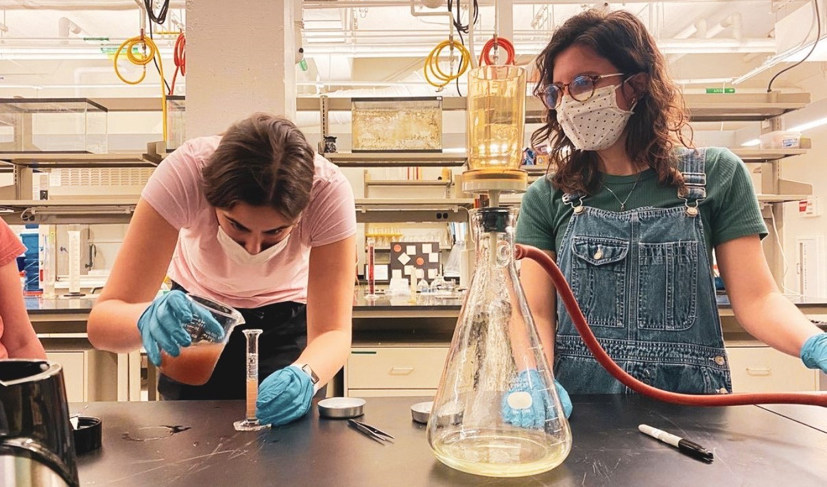 ${_EscapeTool.xml($alt)}