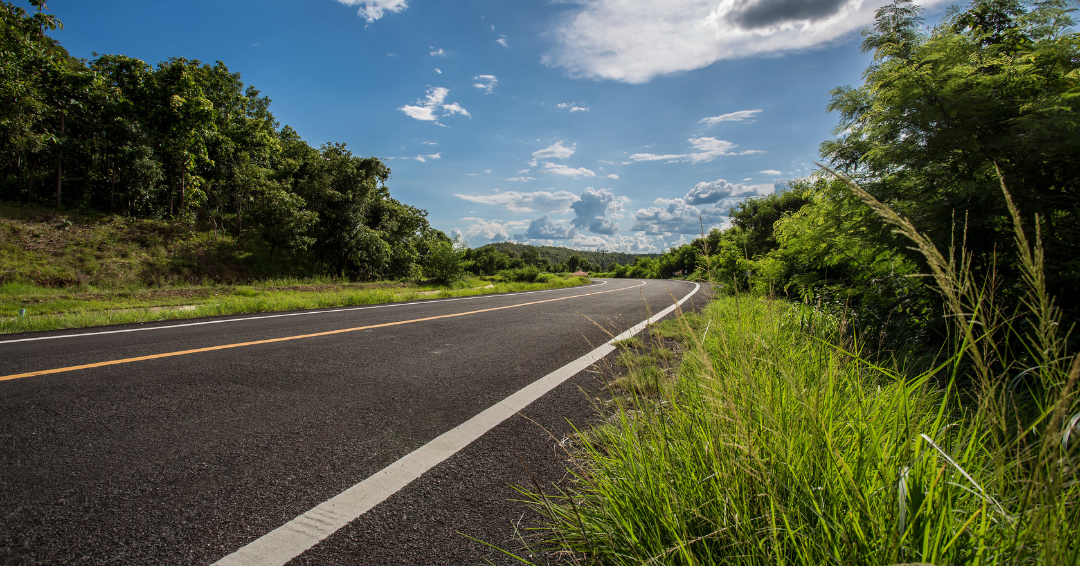 A paved two-lane asphalt road curves through a tree-lined landscape under a blue sky. Tall grass borders the shoulder in the foreground.