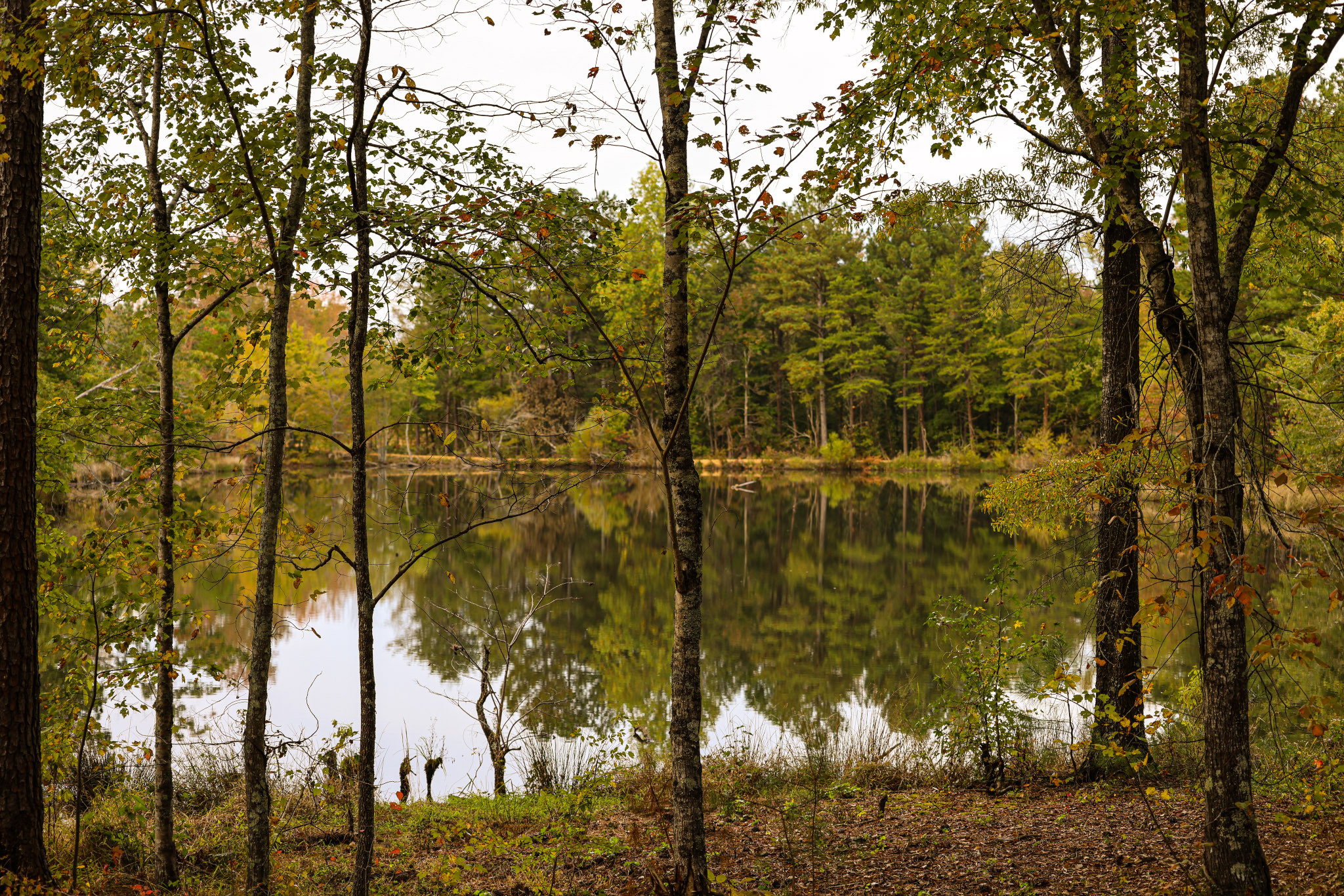 Group photo of the AURPI team
