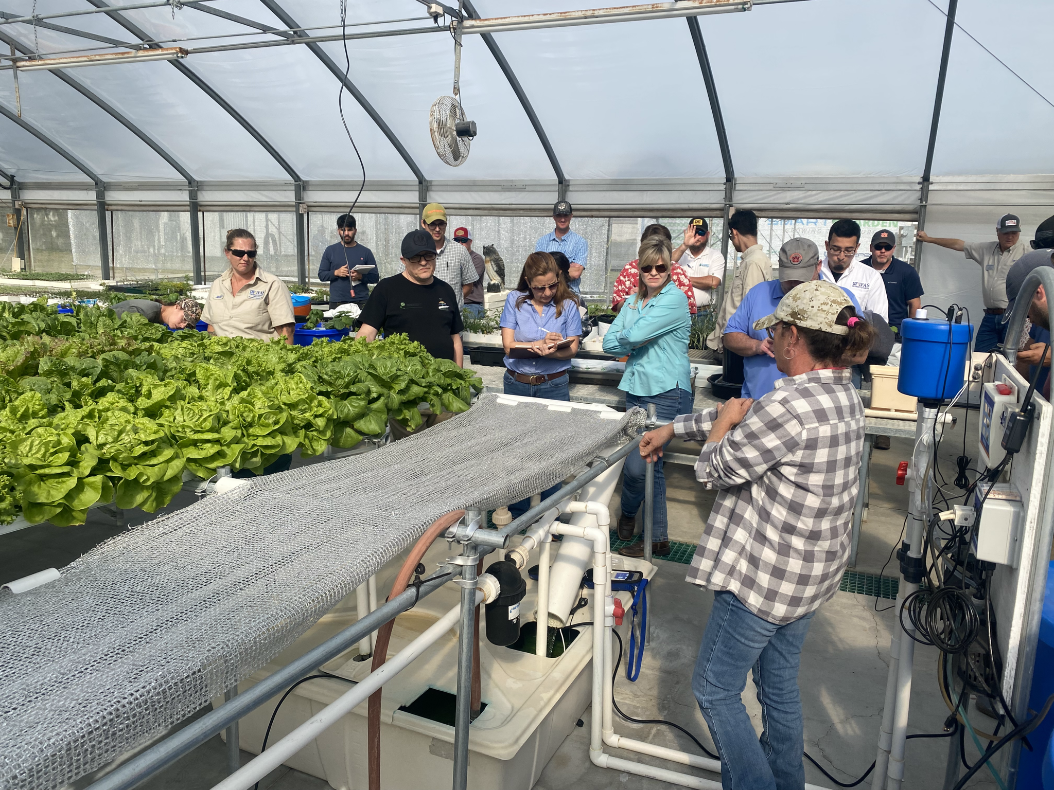 University of Florida and Auburn University