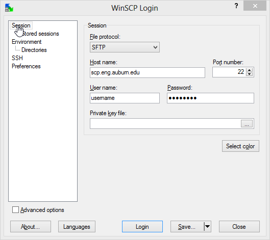 WinSCP Session Screen Shot