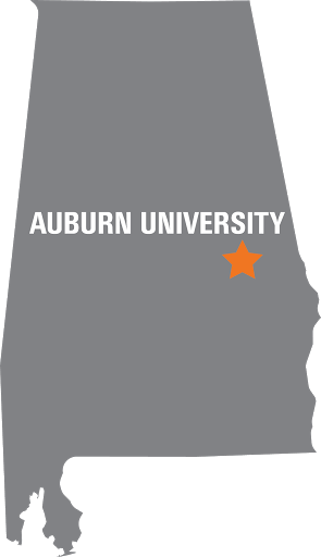 Auburn Alabama