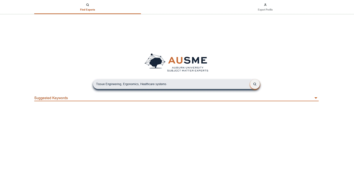 Find an expert search