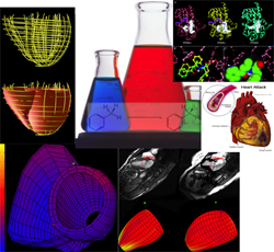 Cardiovascular Research