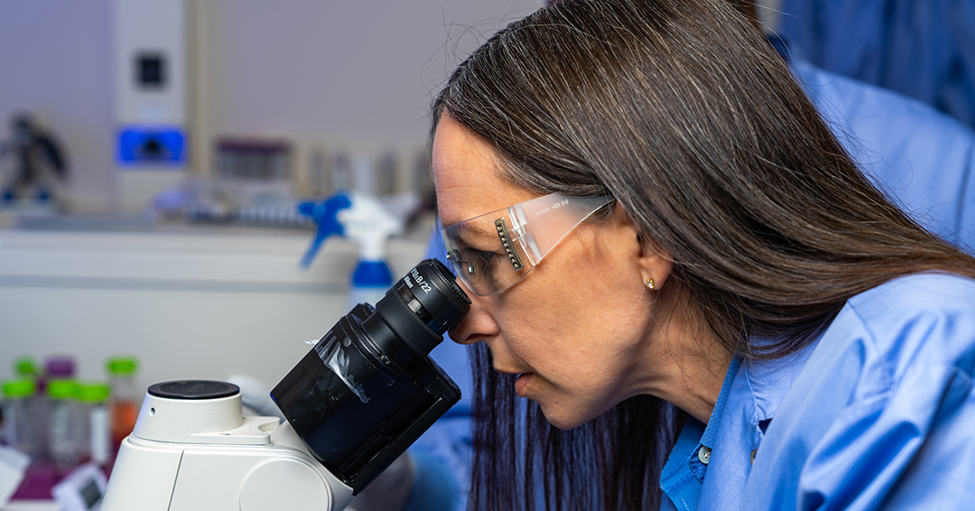 The new biomedical engineering programs at Auburn will offer a doctoral degree, thesis and non-thesis master’s degrees and two graduate certificates, all drawing on the university’s established expertise in advanced biomedical technologies and systems. 