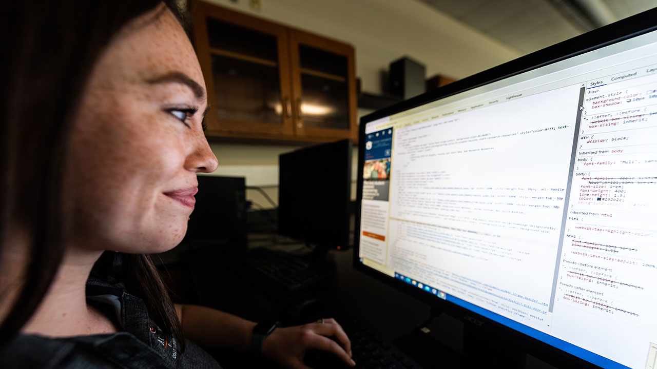 Auburn's online undergraduate computer science program enrolls 176 students from 34 states.