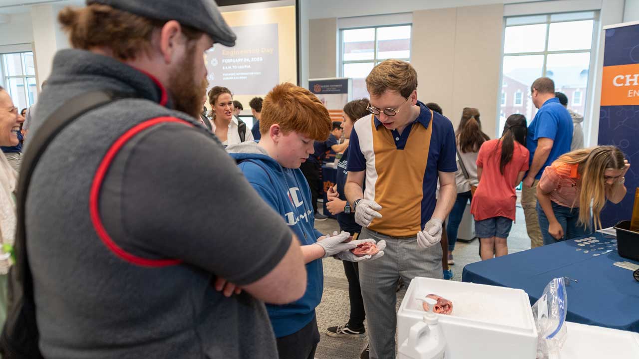An E-Day participant holds engineered heart tissue while visiting the Department of Chemical Engineering's E-Day booth.