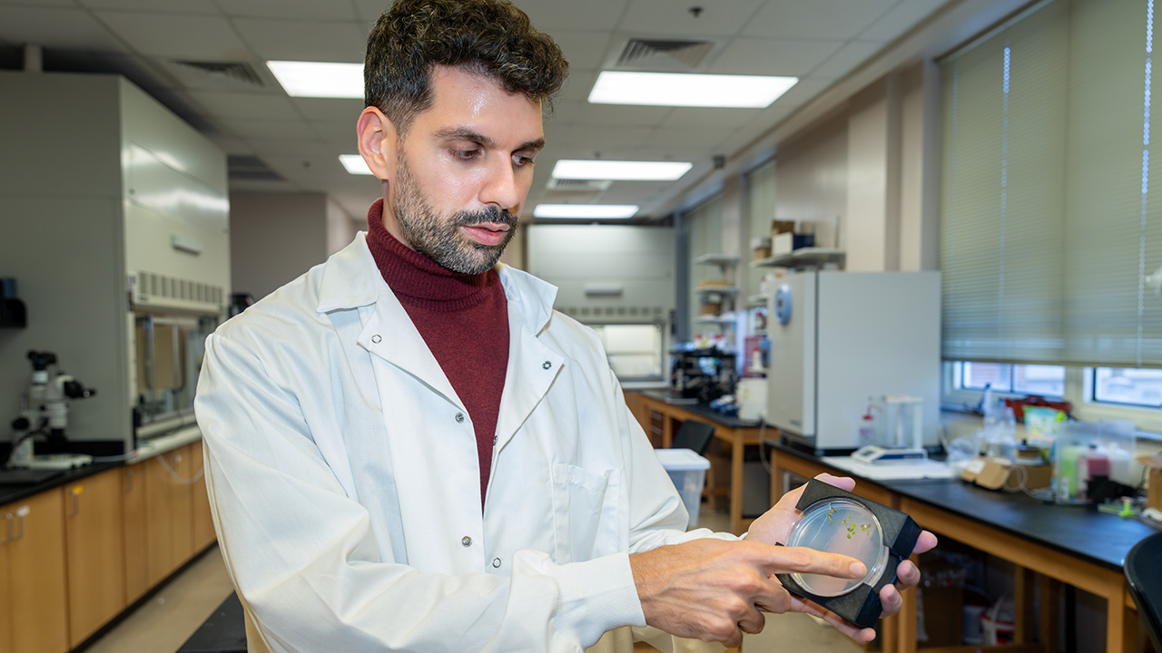 Jean-François Louf is using transparent, soil-like substrates to directly observe how plant roots redistribute water underground — a hidden process that could help farmers improve crop performance under uneven and extreme moisture conditions.
