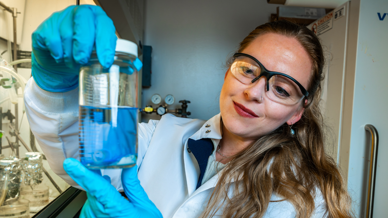 Assistant Professor Cassandra Porter inspects a recently synthesized brush active-layer membrane that soaks in solvent to remove unreacted monomers and catalysts. 