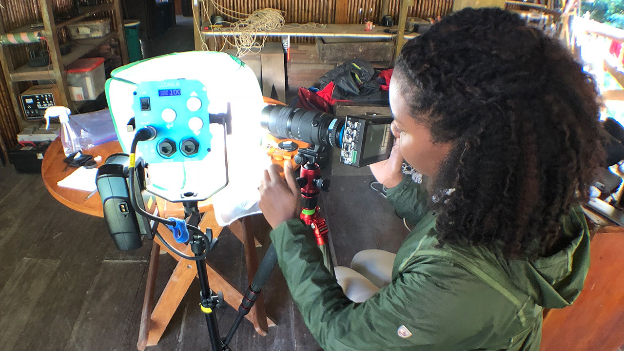 Symone Alexander records high-speed video data of the slingshot spider extending and releasing its web at the Tambopata Research Center in the Peruvian Amazon rainforest.