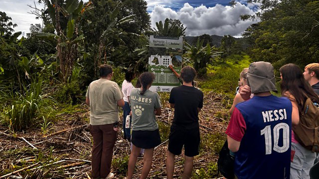 The new study abroad option attracted 14 students from 10 majors in six colleges.