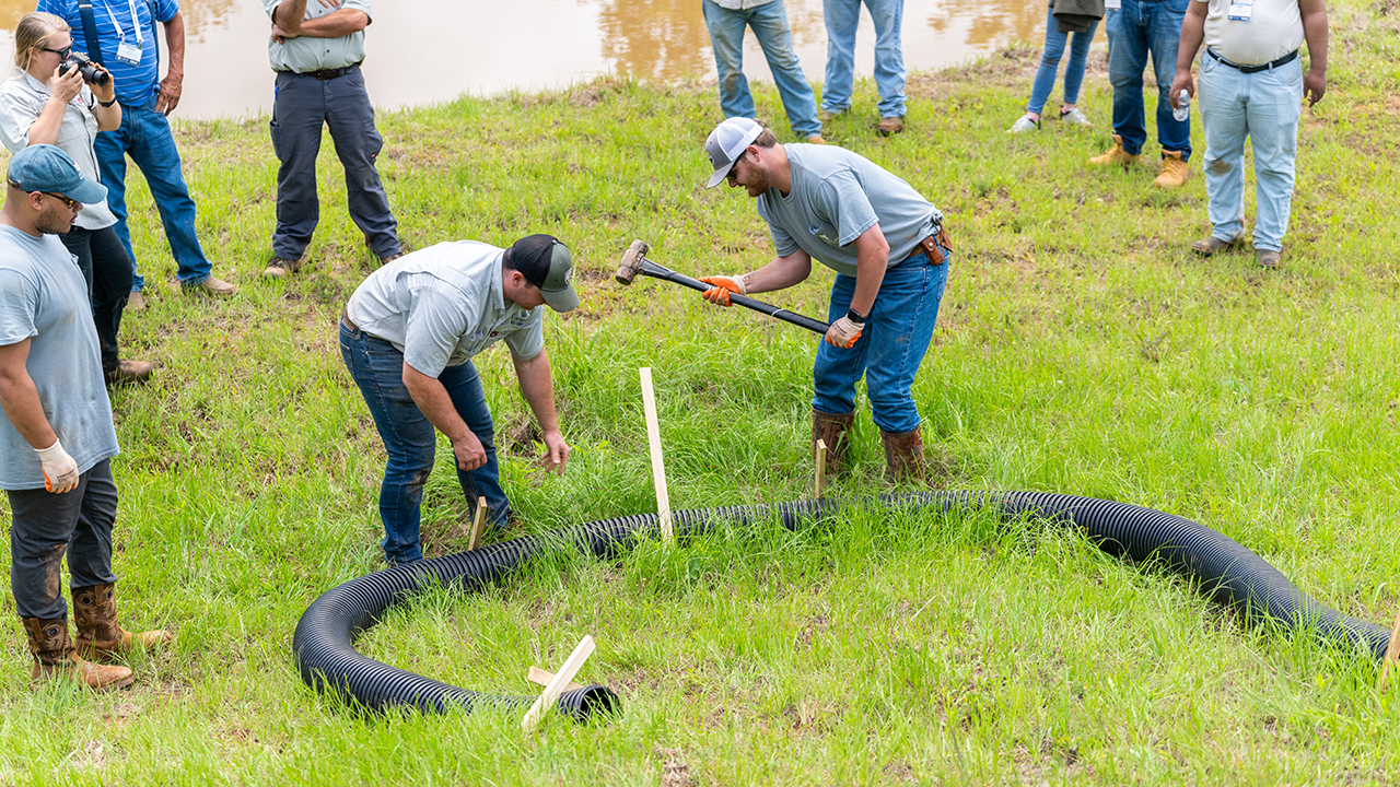 Two men use a sledgehammer to put a stick in the ground.