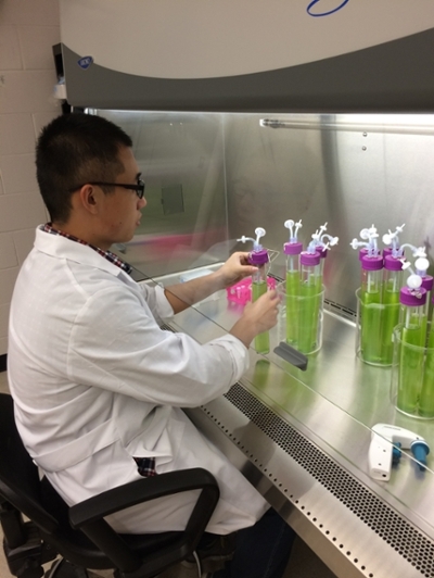 kaiyan algae bioreactor