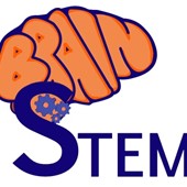 Brain STEM